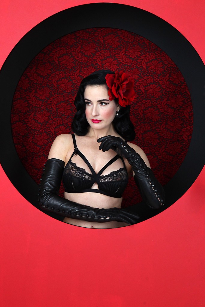 Dita-Von-Teese-Sexy-124