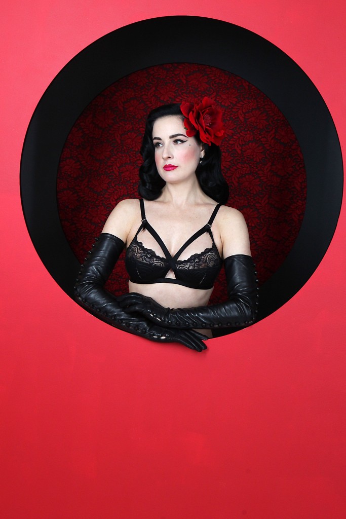 Dita-Von-Teese-Sexy-128