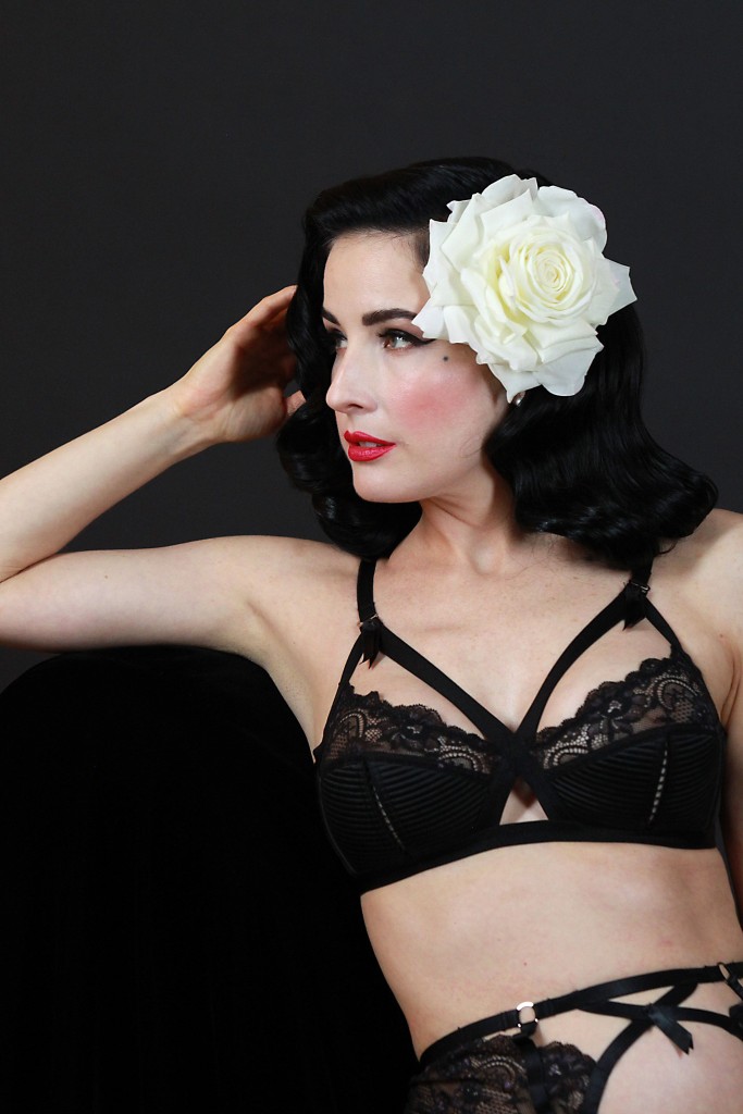 Dita-Von-Teese-Sexy-38