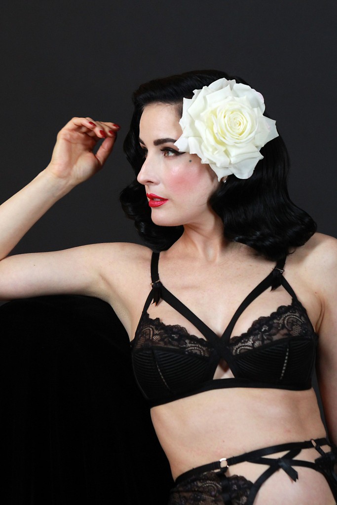 Dita-Von-Teese-Sexy-39