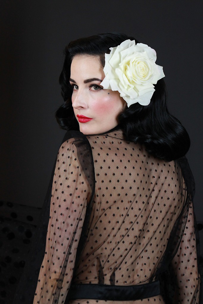 Dita-Von-Teese-Sexy-45