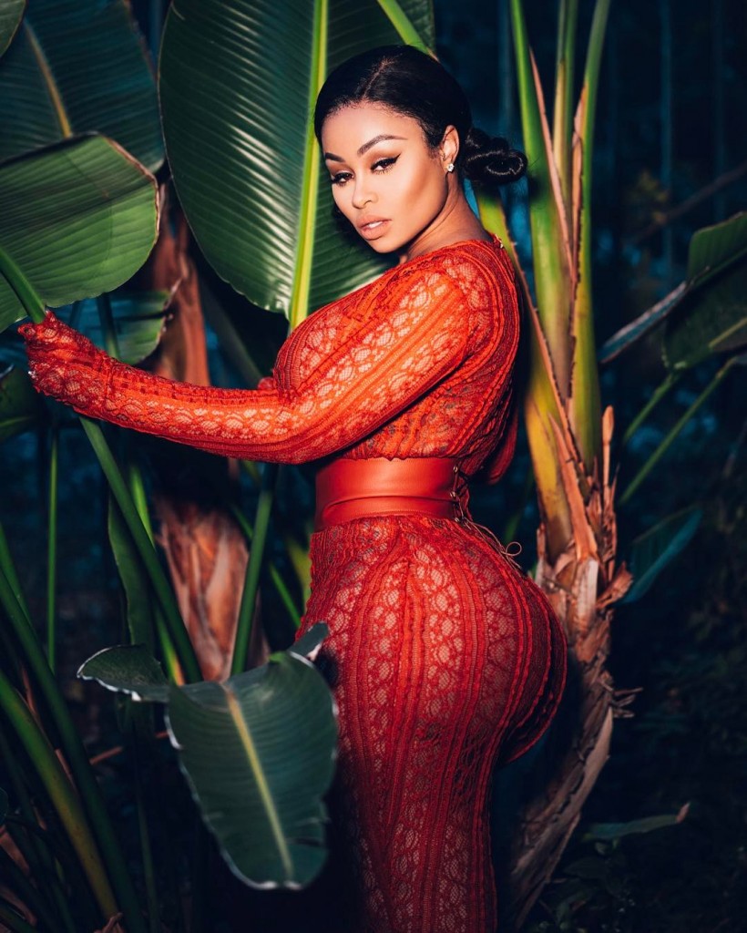 Blac Chyna Sexy 9